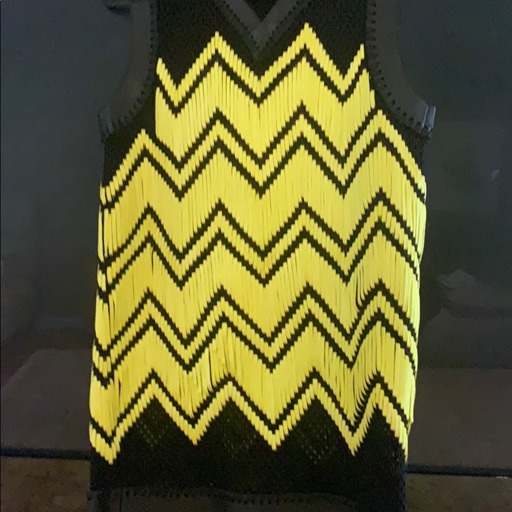 Alexander wang dress